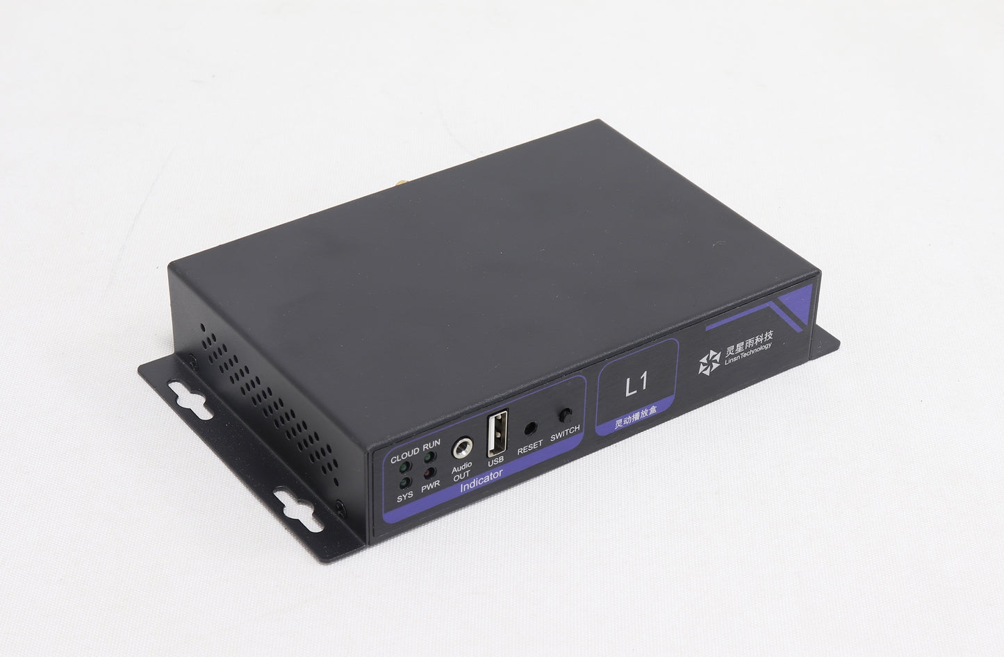 Linsn L1 LED Multimedia Player LED Display Controller
